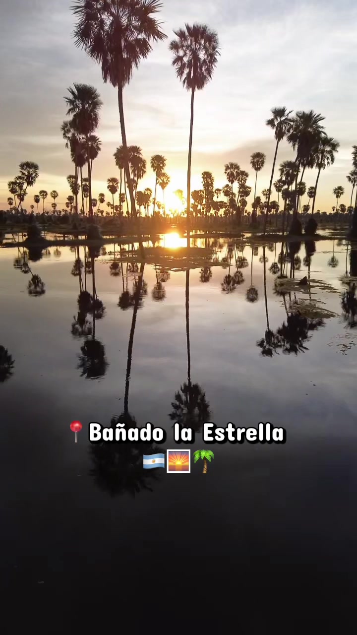 @modo.avion891