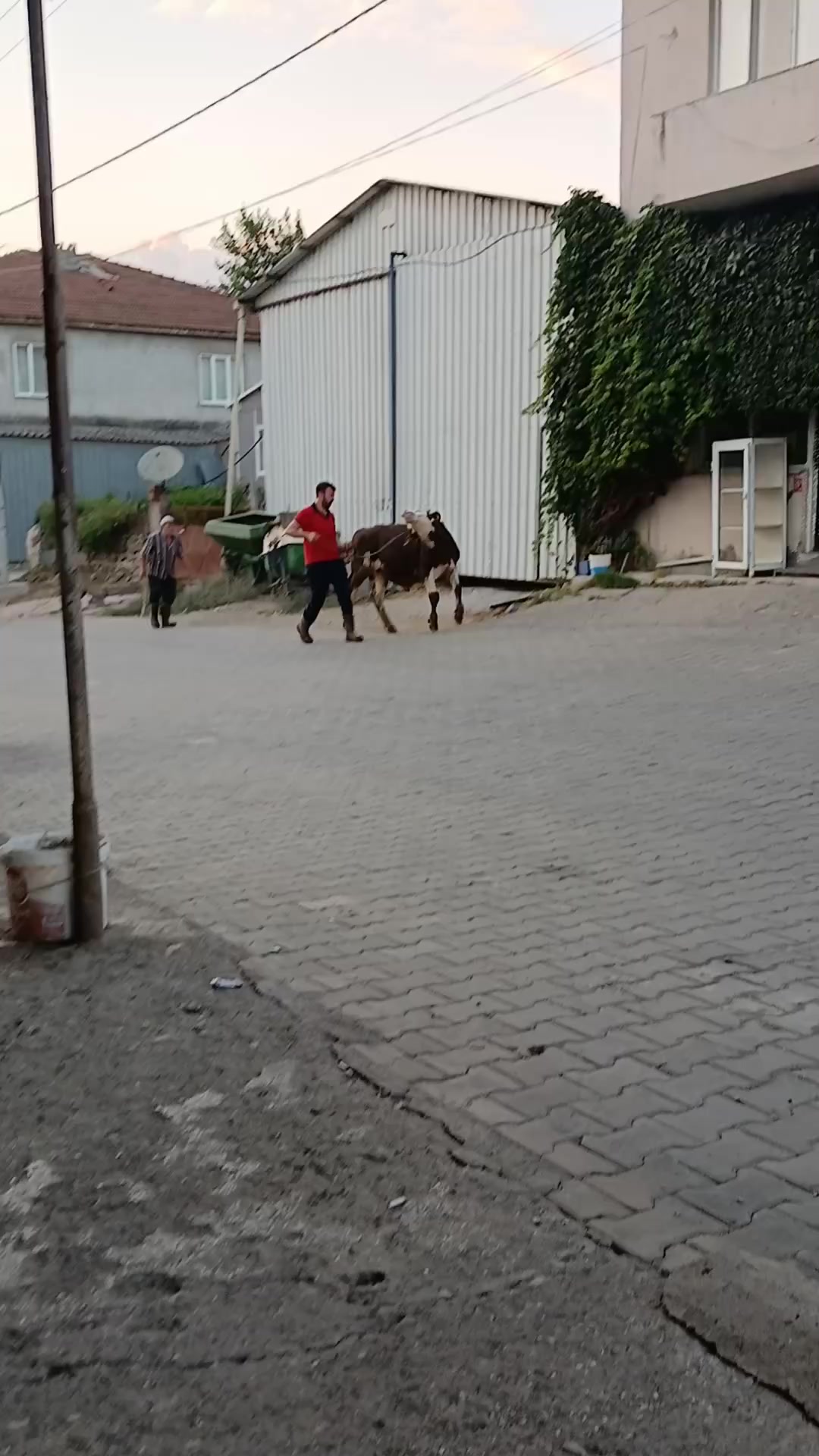 @Okan Aygul