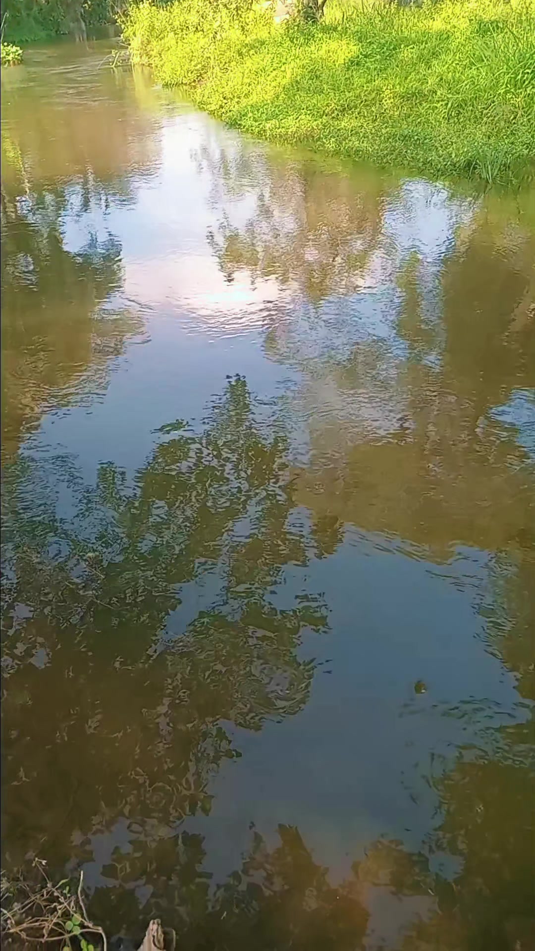 @Udayani upeshika Hadunnethti