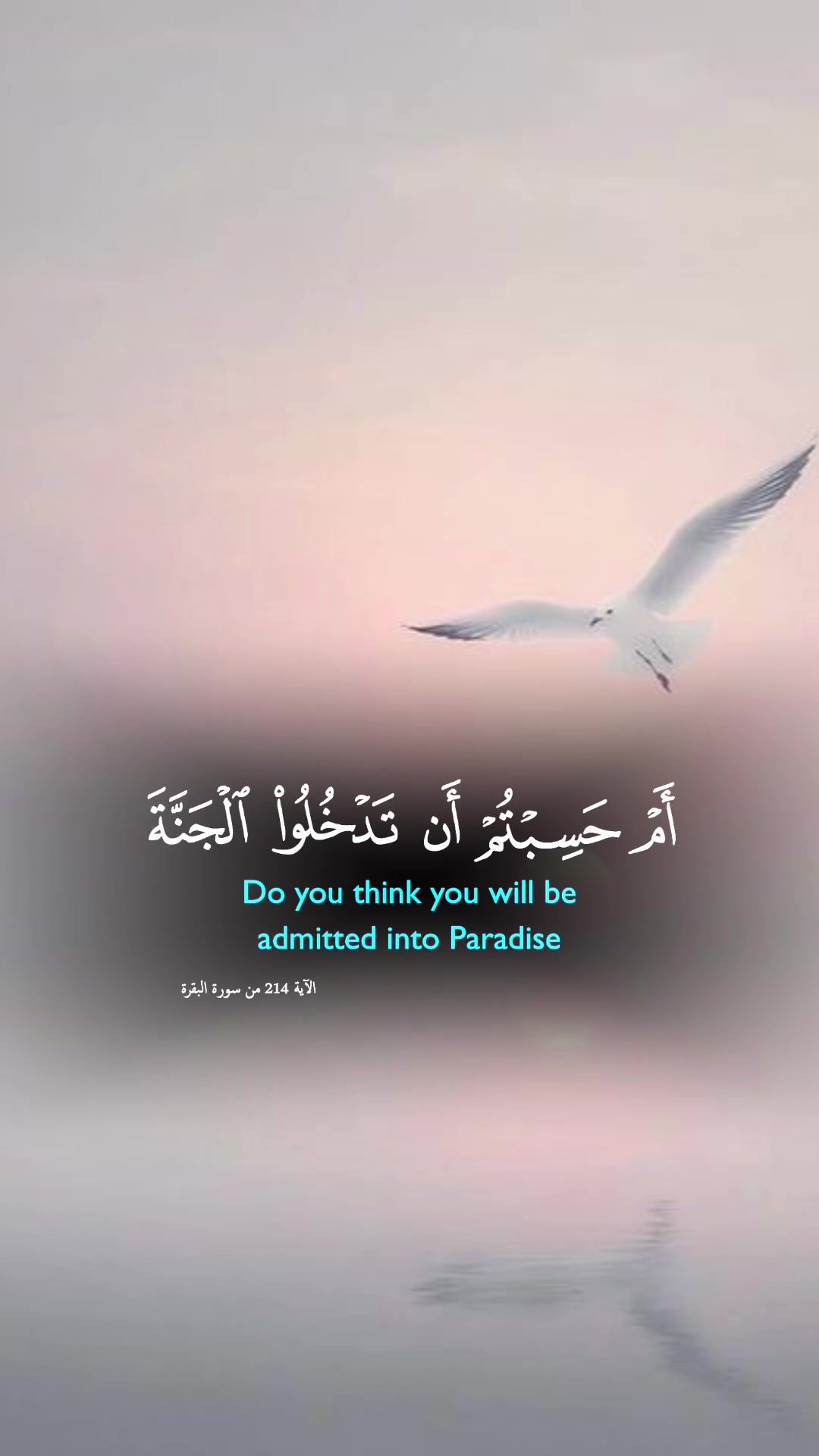 @رهف🤍🦋