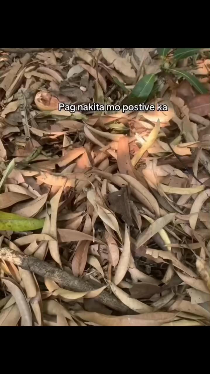 @ 