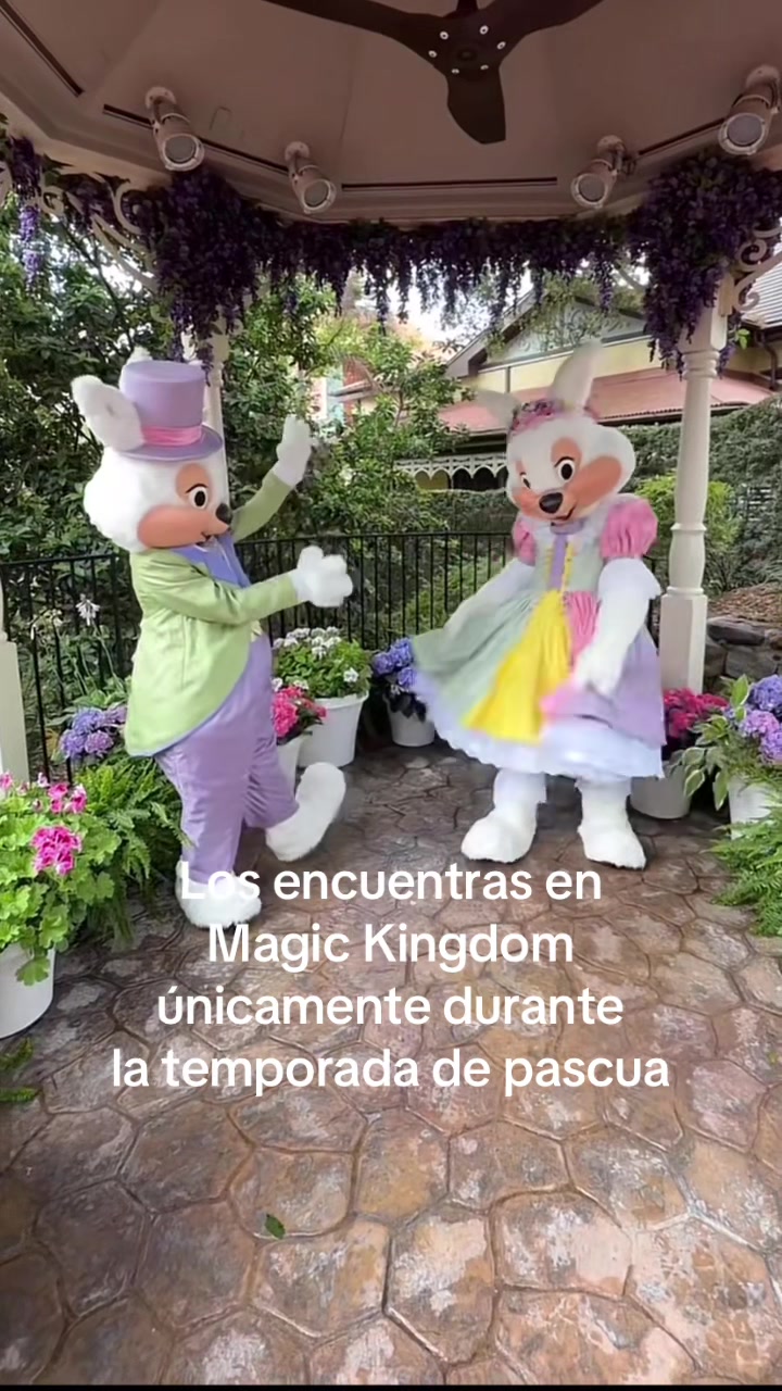 @Aviles Travels 🎢🎡✨