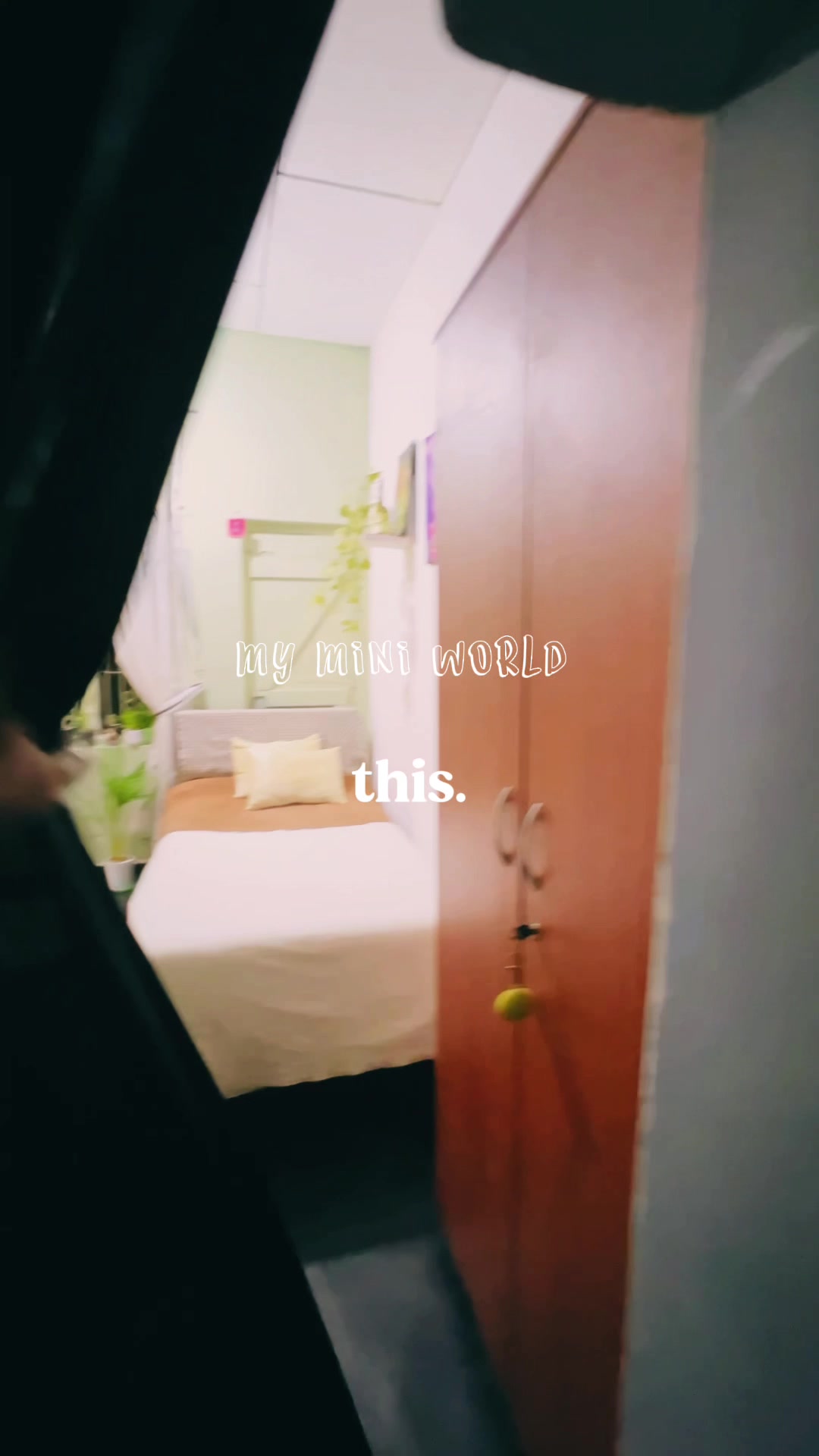 @ᥫ᭡𝒮𝐡𝐚🦢🪬❣︎