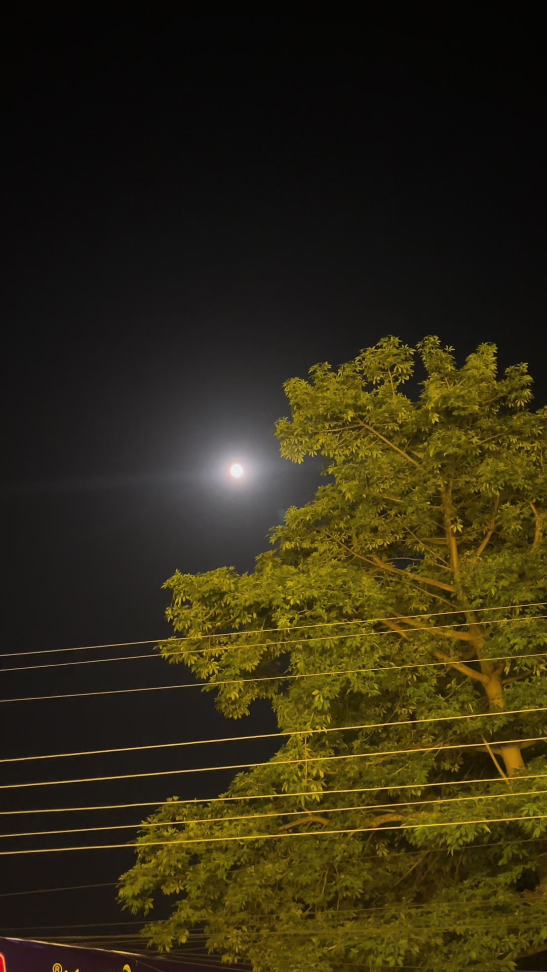 @🌙