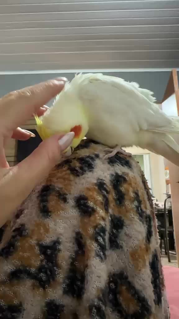 @🐤DICAS DA BINE PARA MULHERES