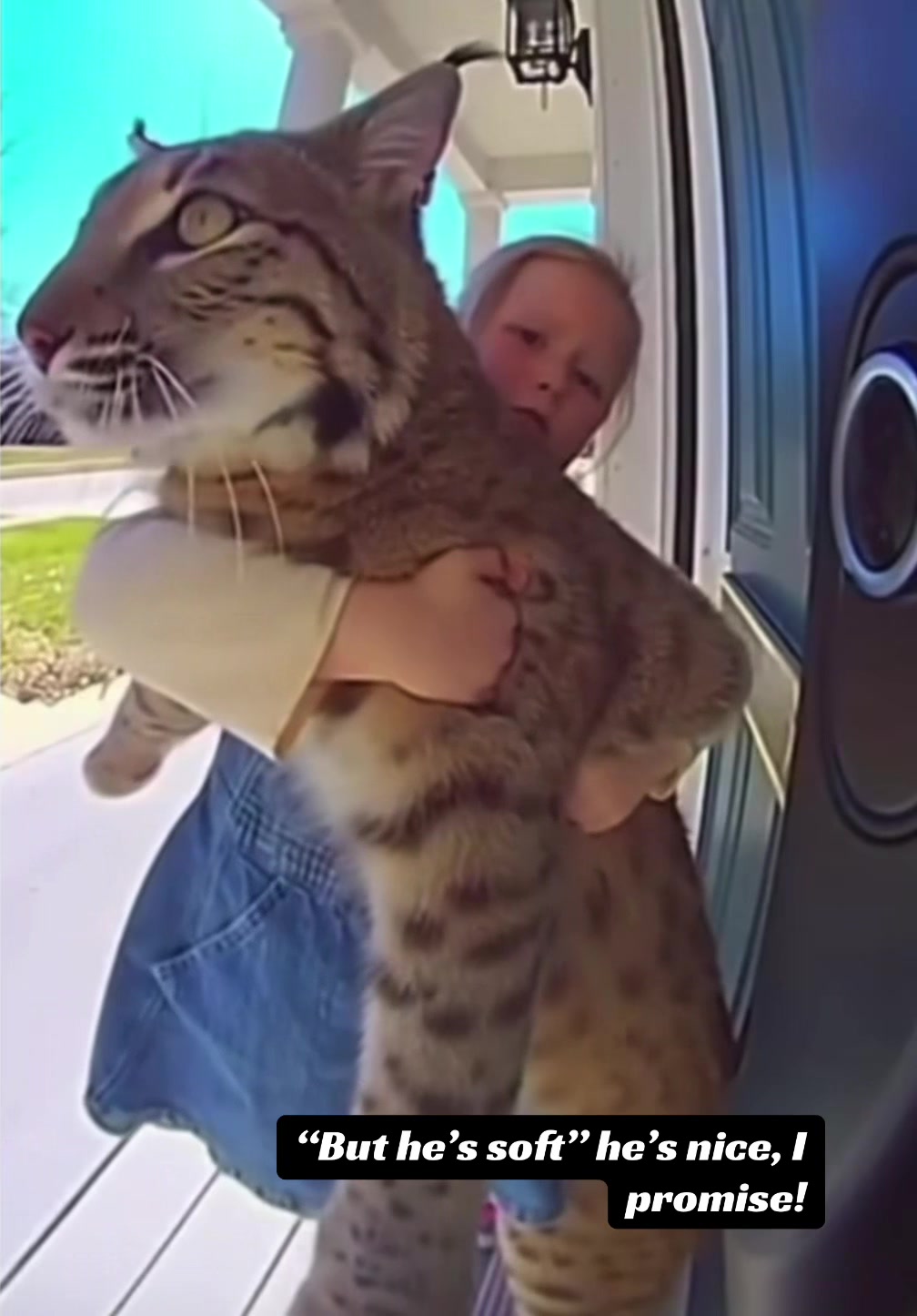 @YONDIE