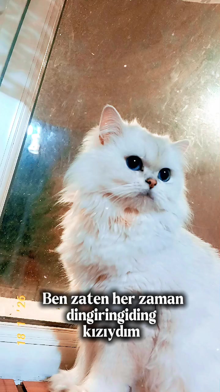 @🌼MİNE🌼