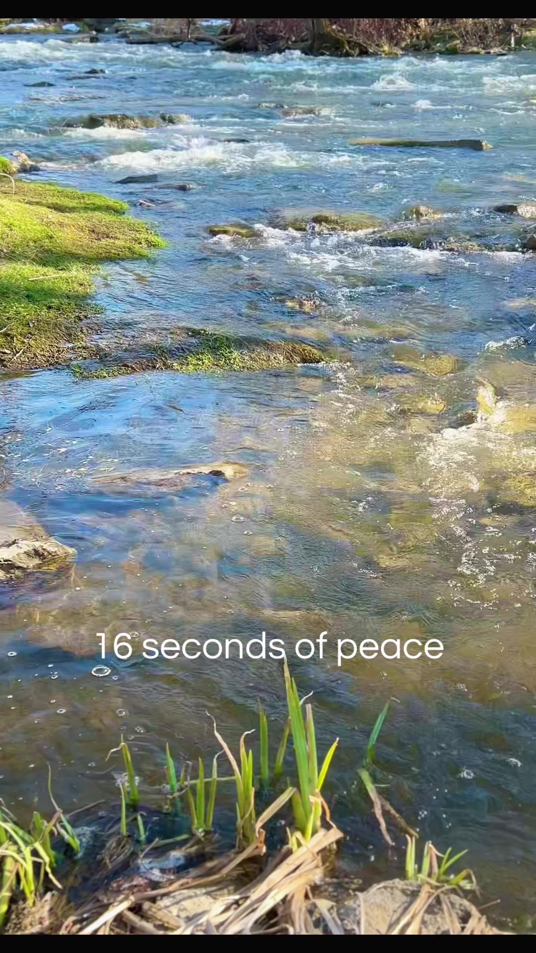 @goodnaturedjg