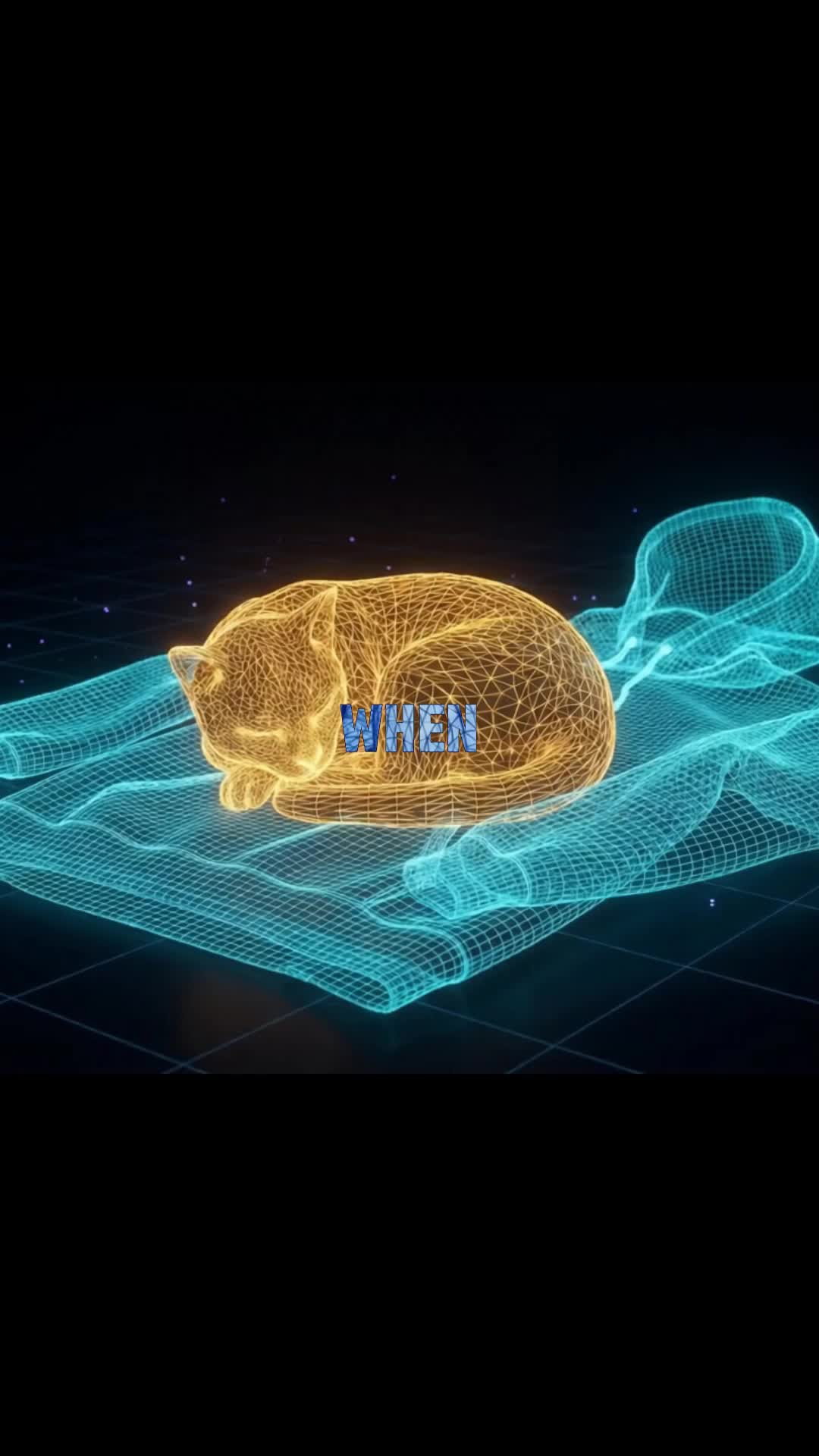 @NeuroHolo