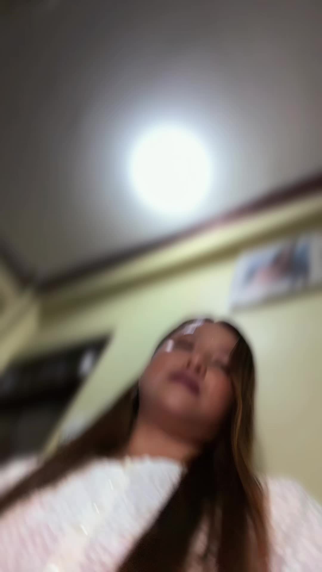 @🕊️