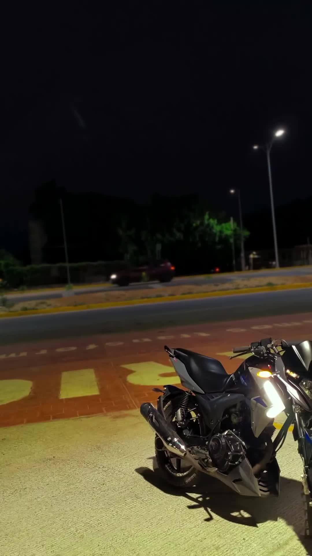 @🕸️EL_FLORES 🕷️