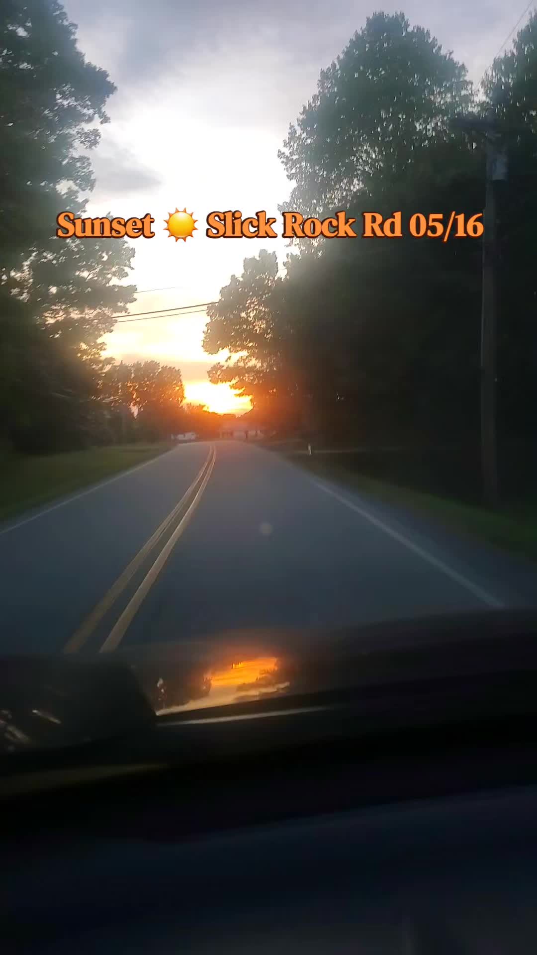 @Catherine {Cat} 🌺