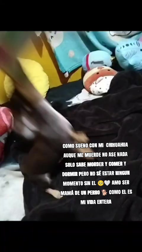 @Itzel de enrique 🥺💕