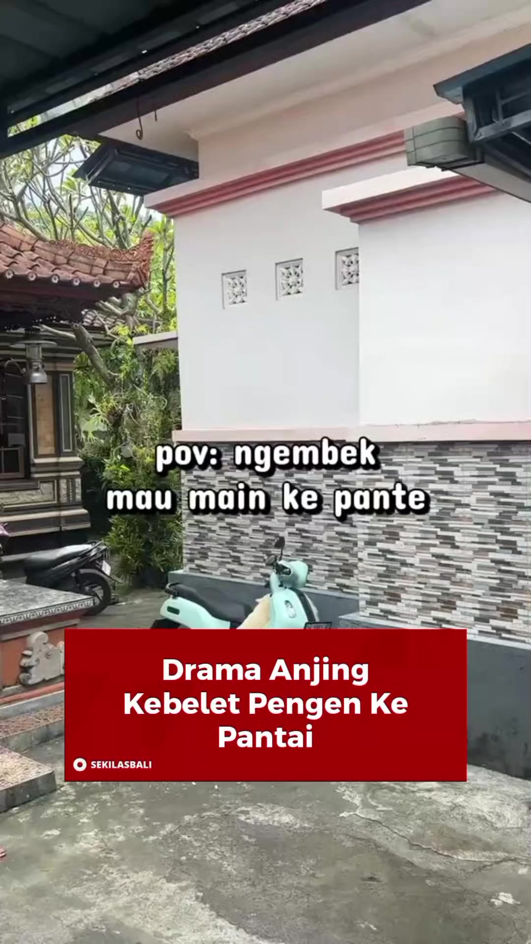 @Sekilas Bali