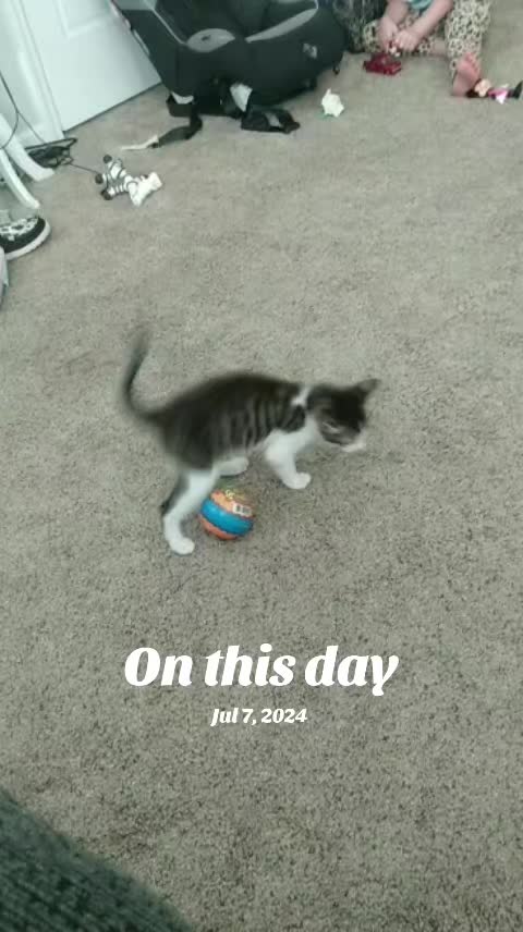 @sugarkitty33