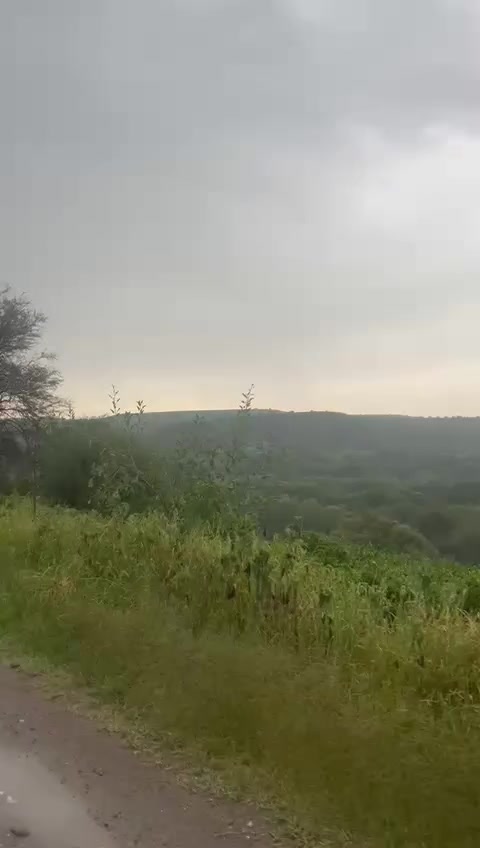 @Alma Karina Guzmán
