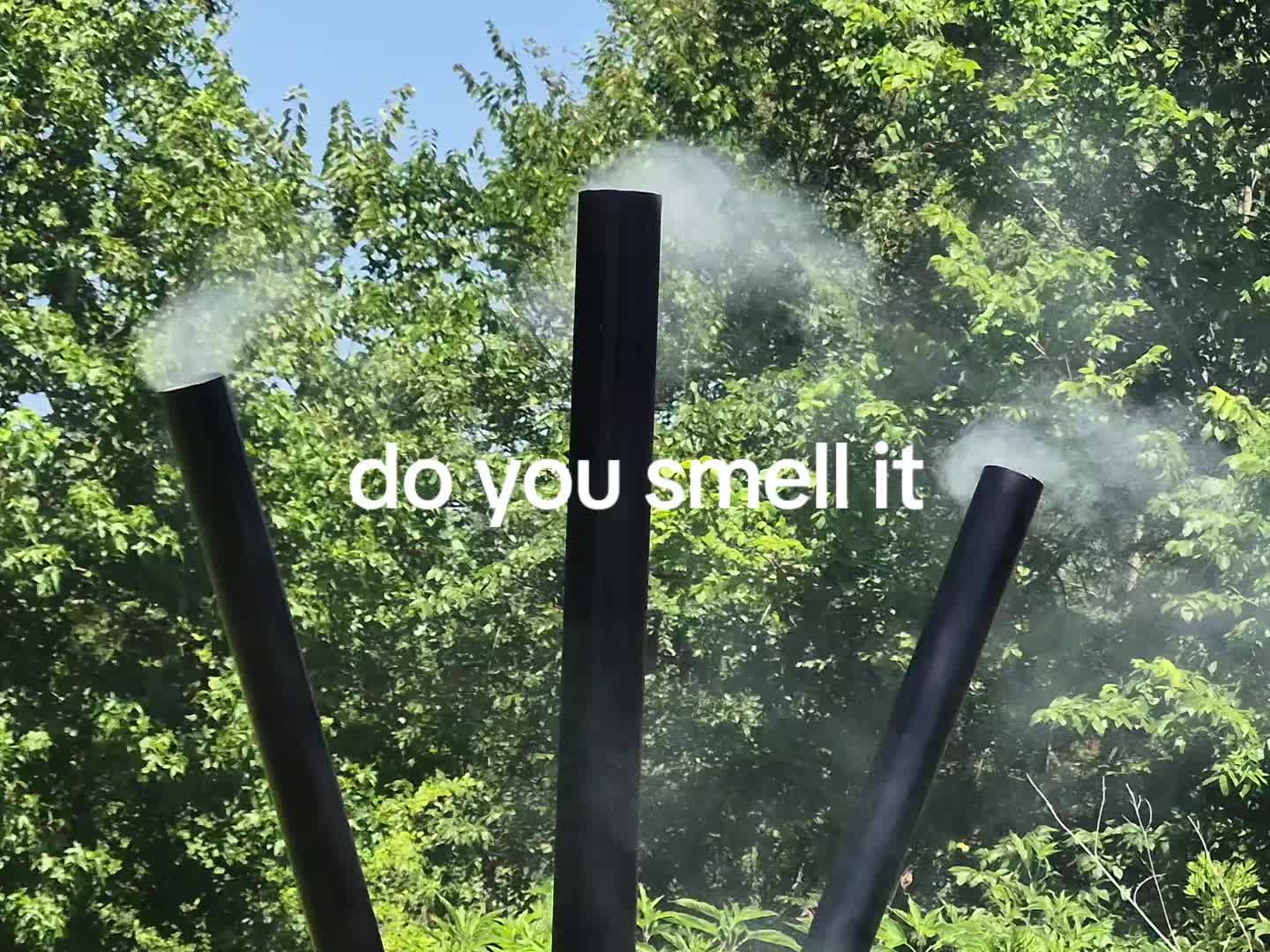 @ShaneyC