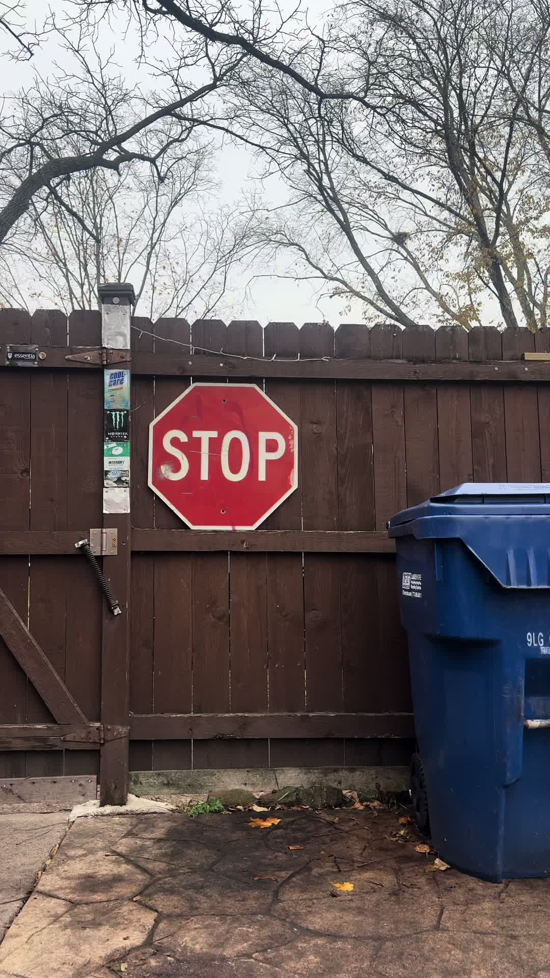 @Tails