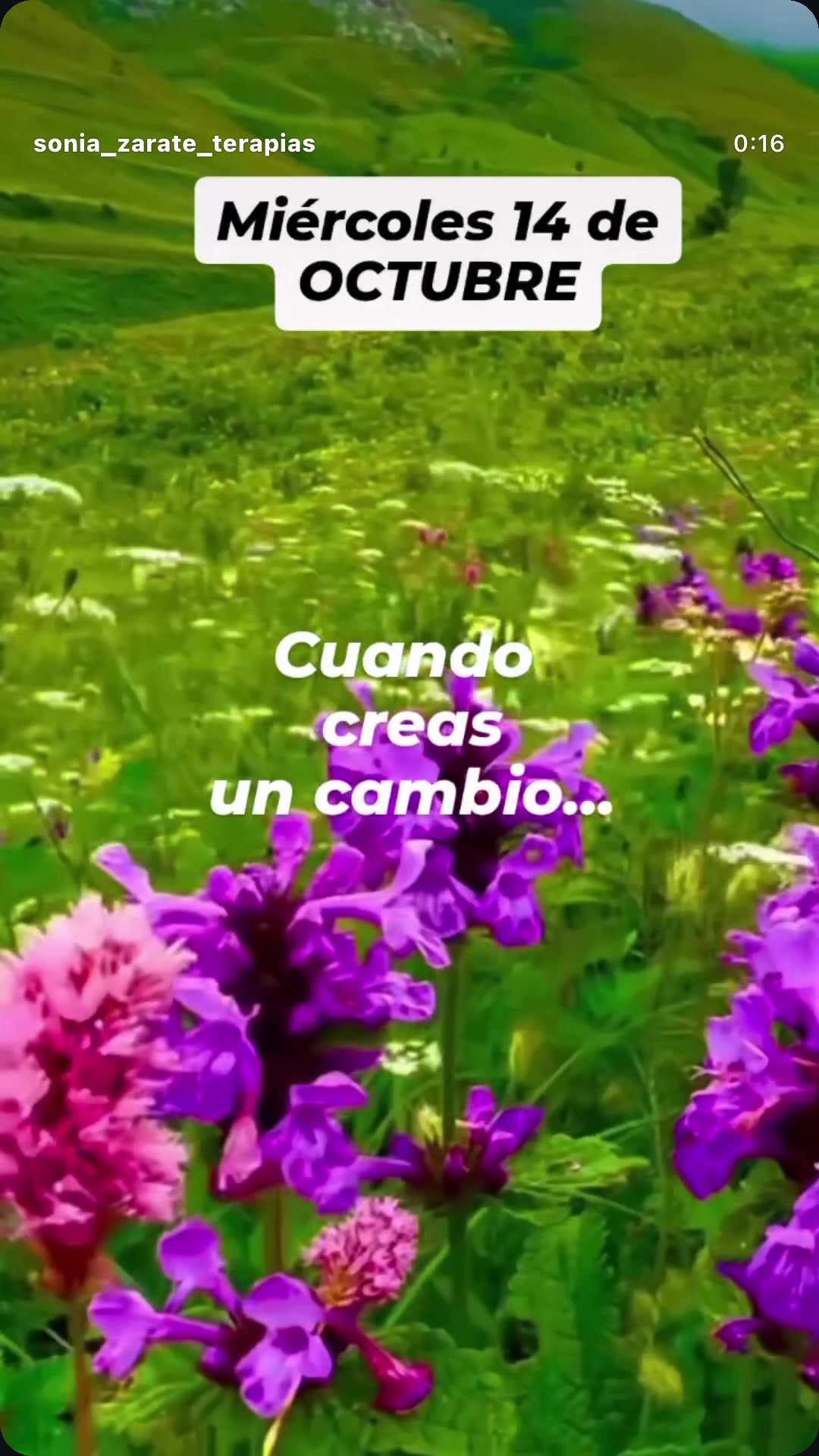 @JULIETTA AN
