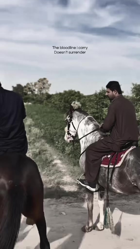 @حسنین سیال