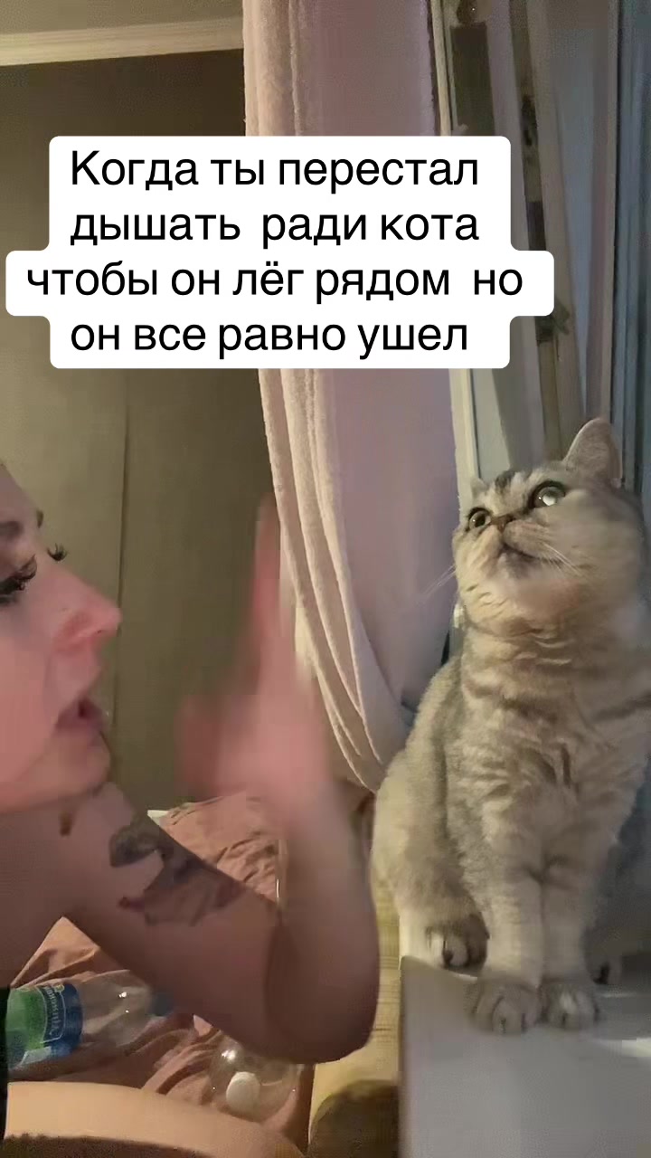 @Презент симпл