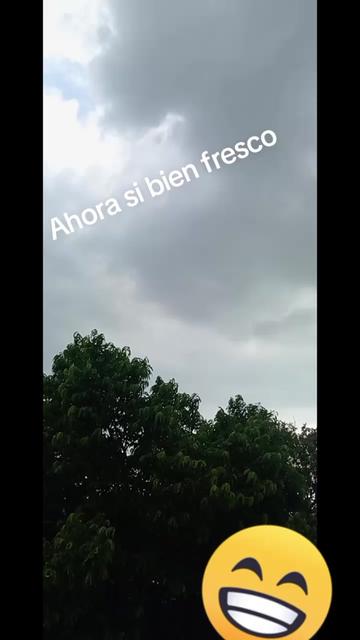 @damaris. mayorga5