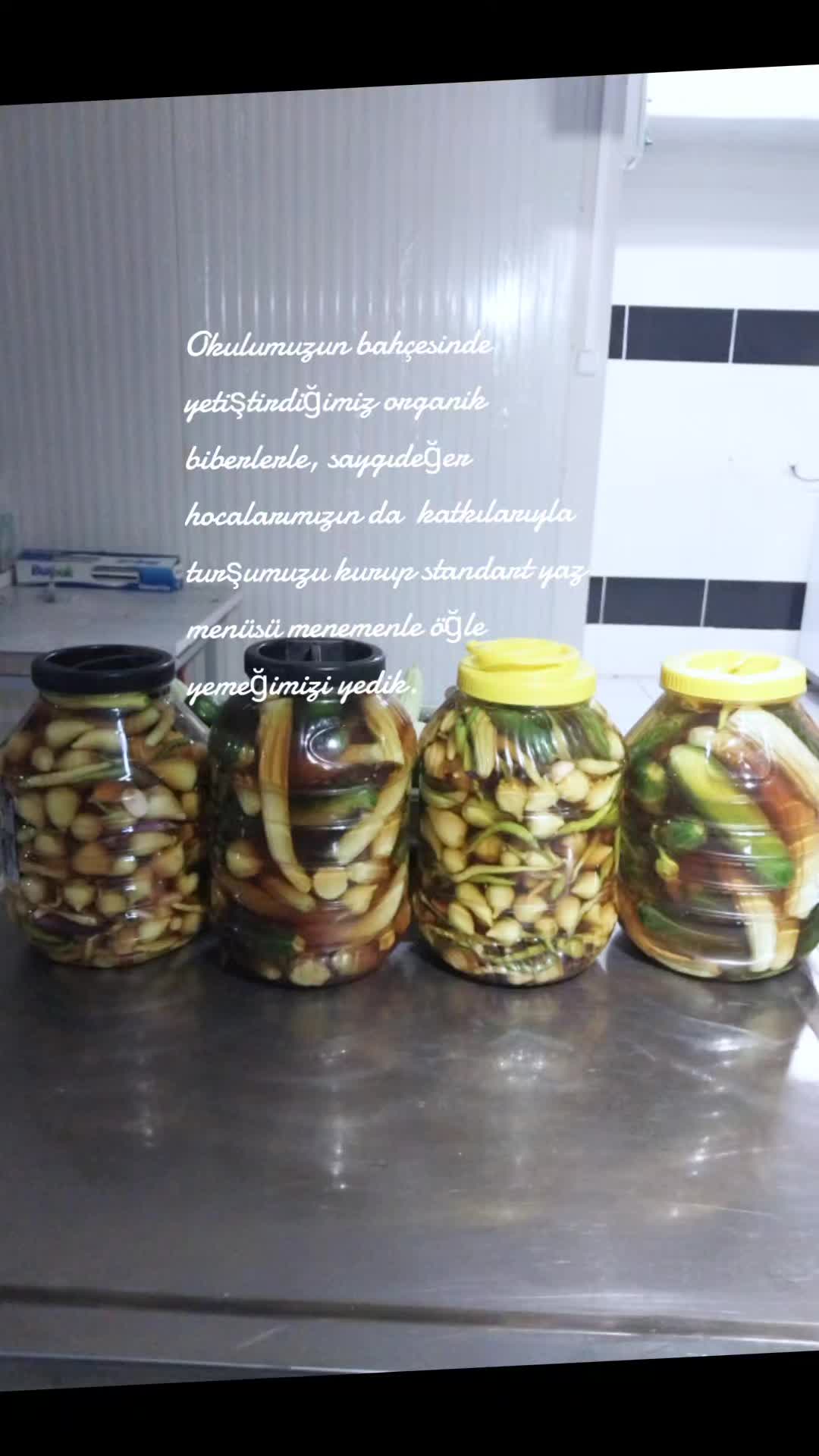 @Ayşe S🩷A