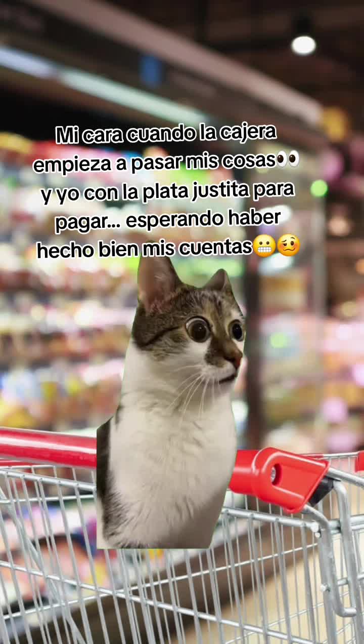 @Mónica MH