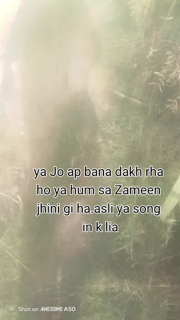 @abbasi