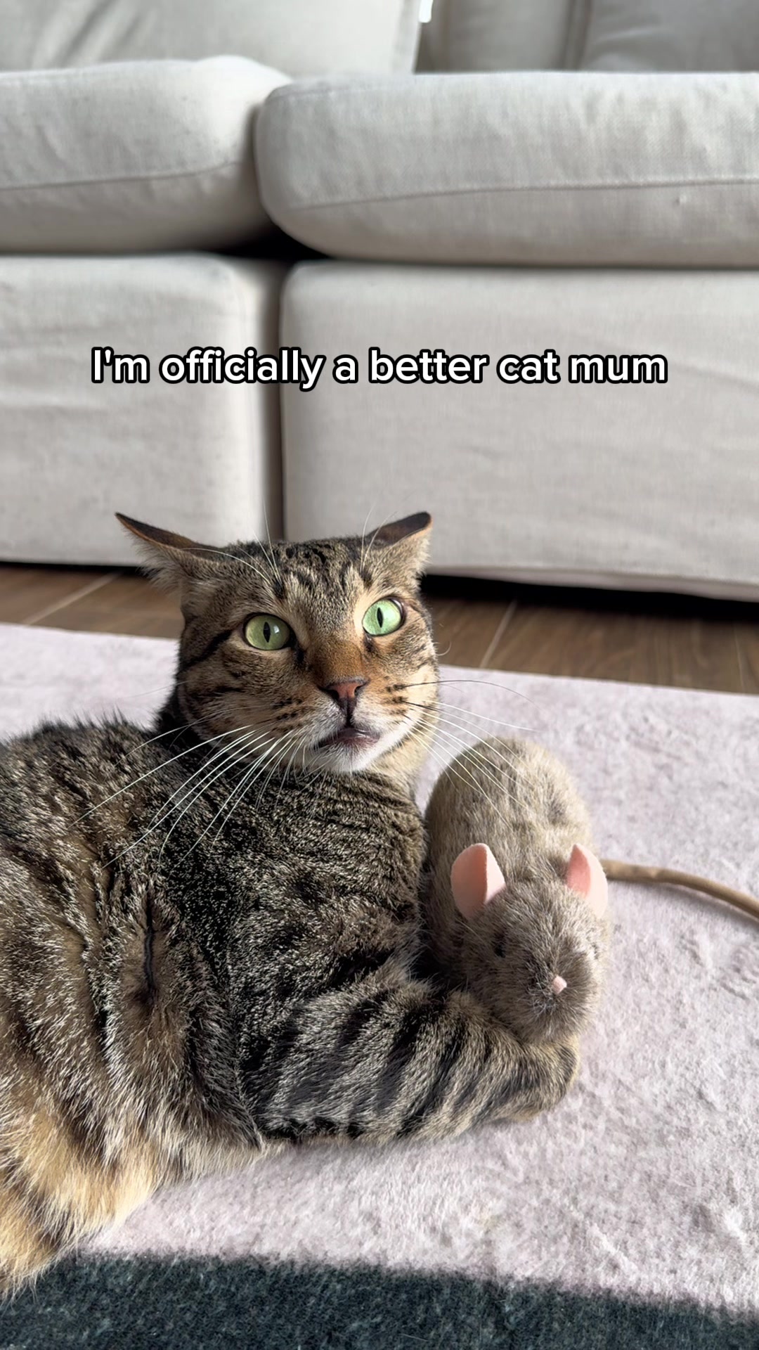 @Cat Tigrous