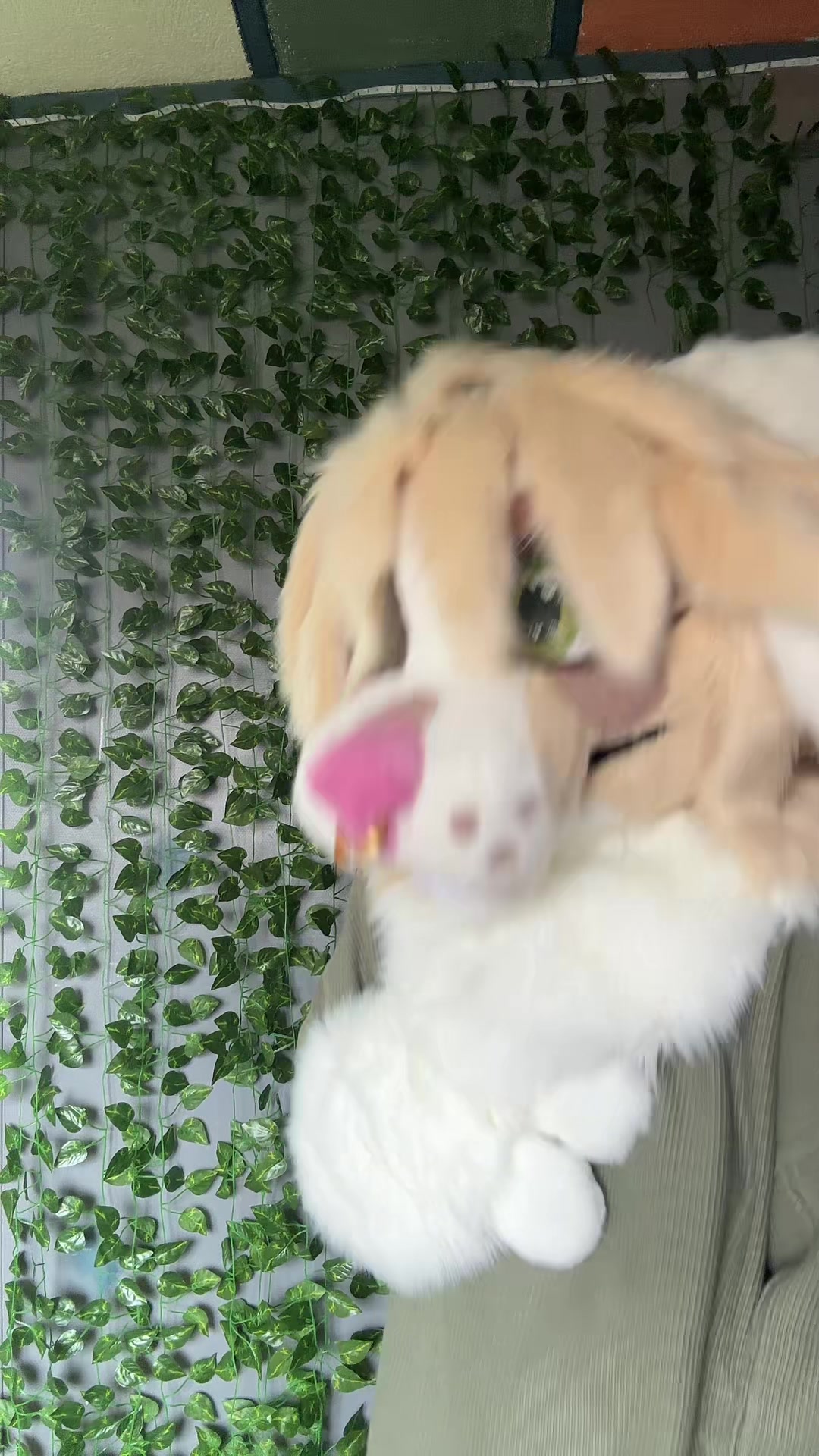 @undead.mutt
