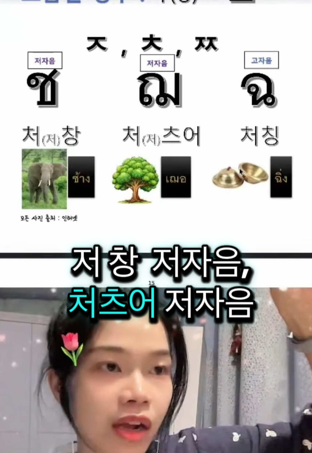 @Youngining TV