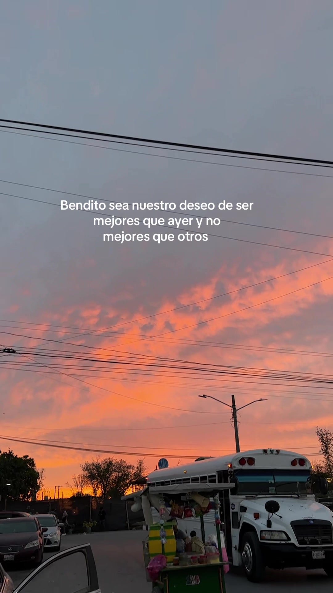 @🌸