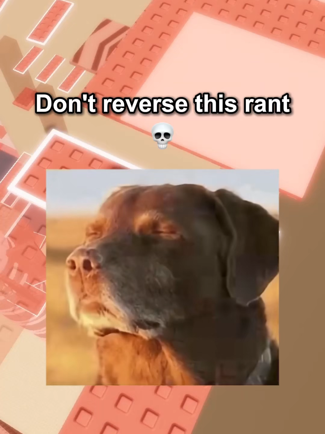 @pierants
