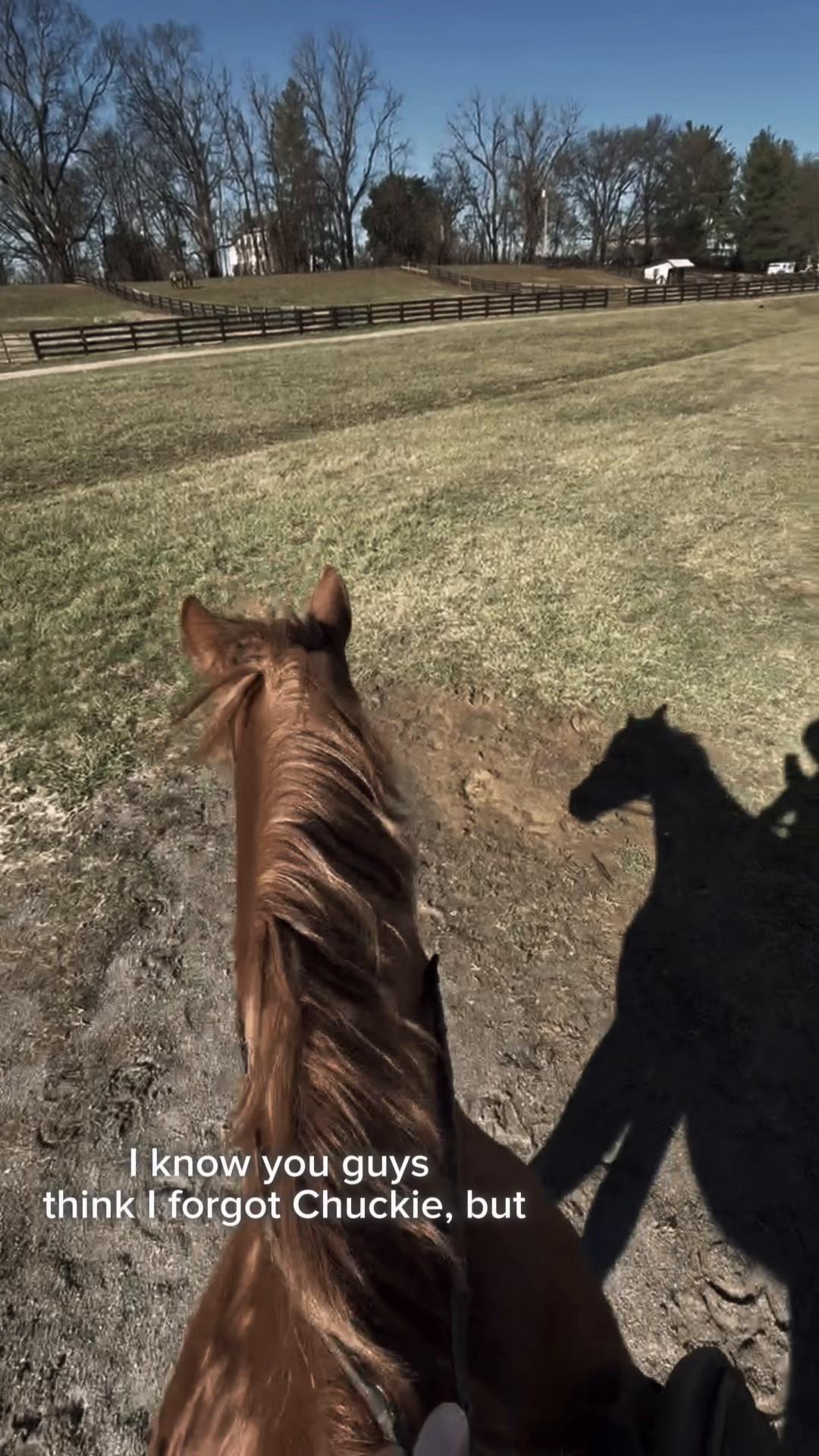 @Eleanor.eq