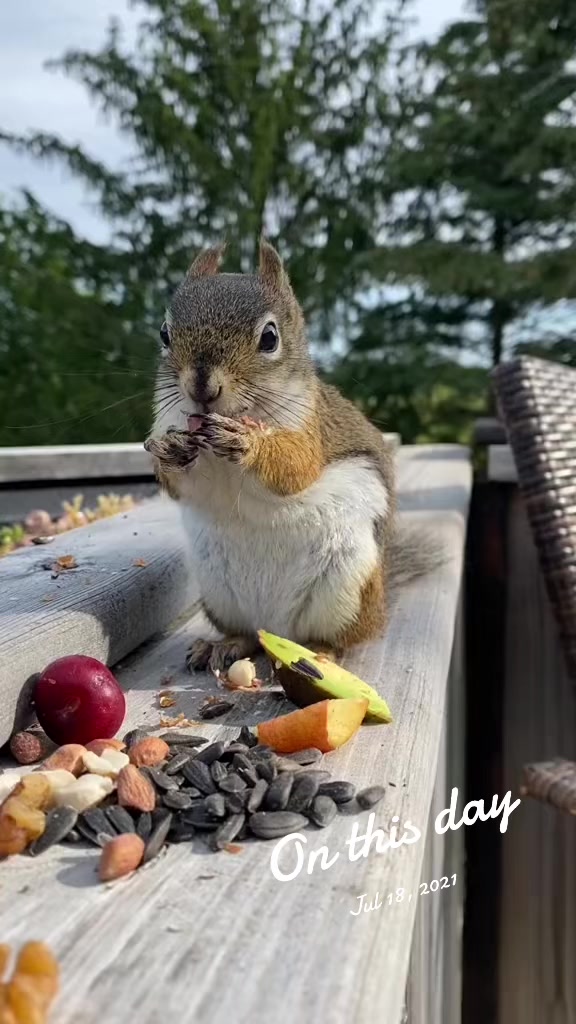 @🇨🇦 Alison Logee 🥰🐿