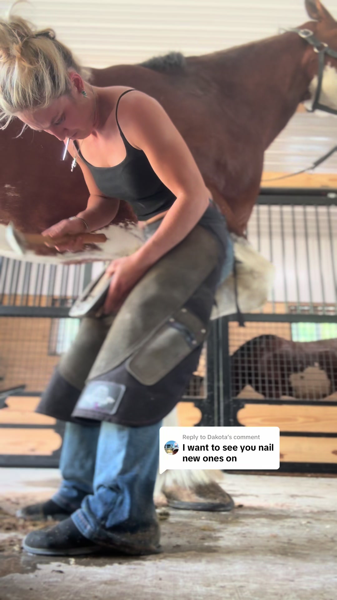 @VtStallGirl