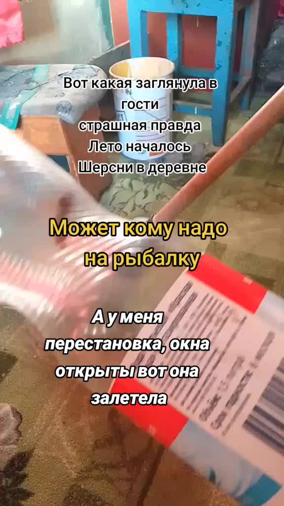 @Nina 18685