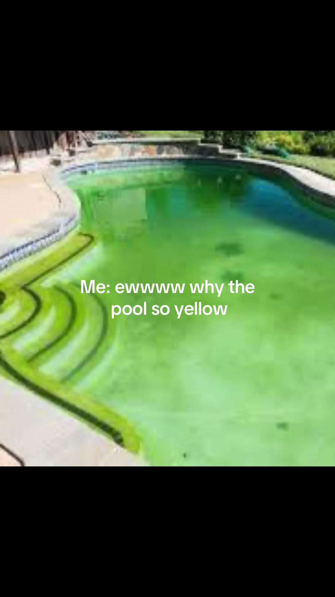 @SXC