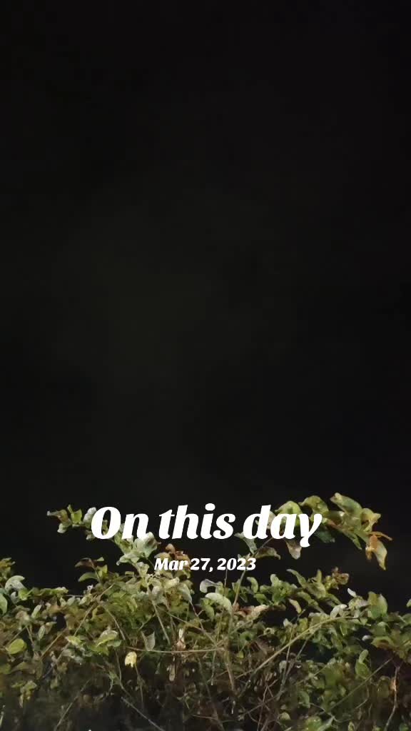 @❥︎𝓢𝓲𝓵𝓪𝓟𝓮𝓻𝓾𝓶𝓪𝓵