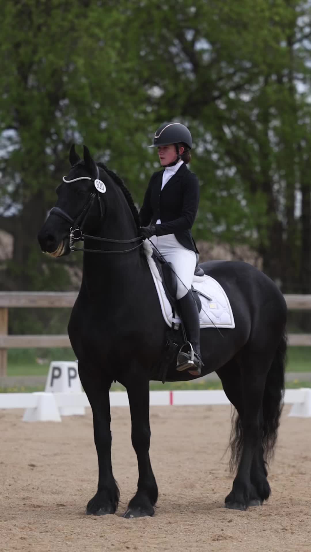 @Stacy | Equine Photography