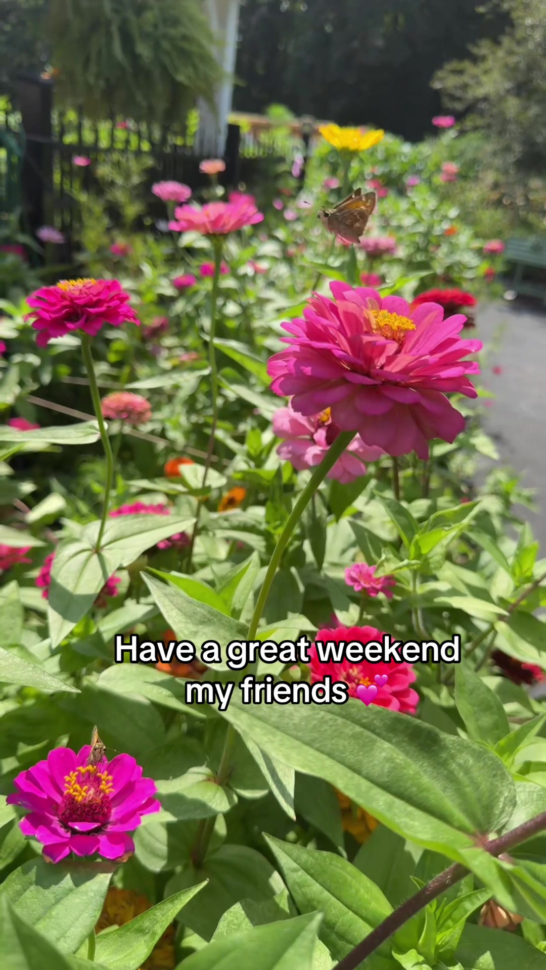 @beachflowersbake