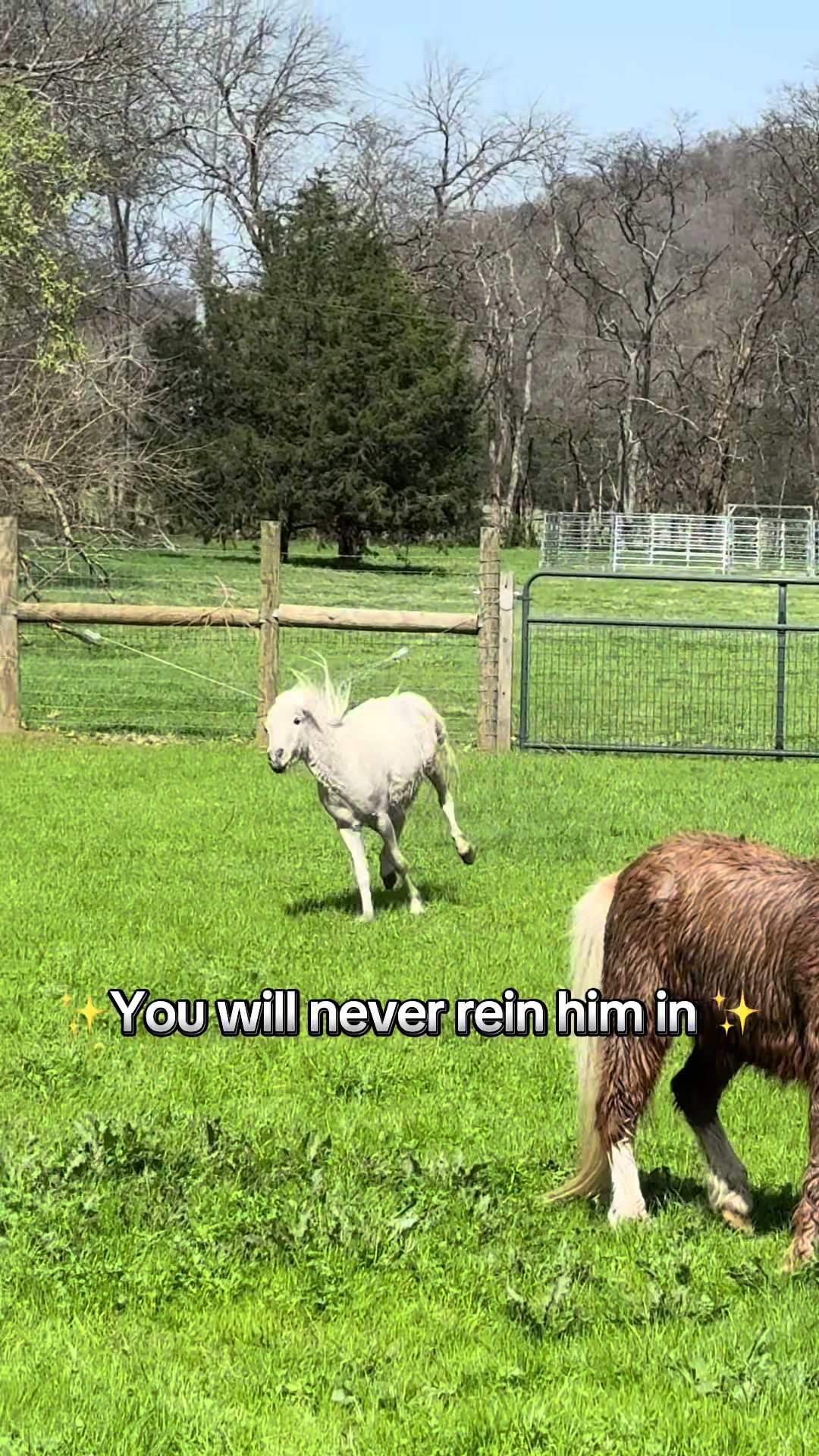 @Becca Miller