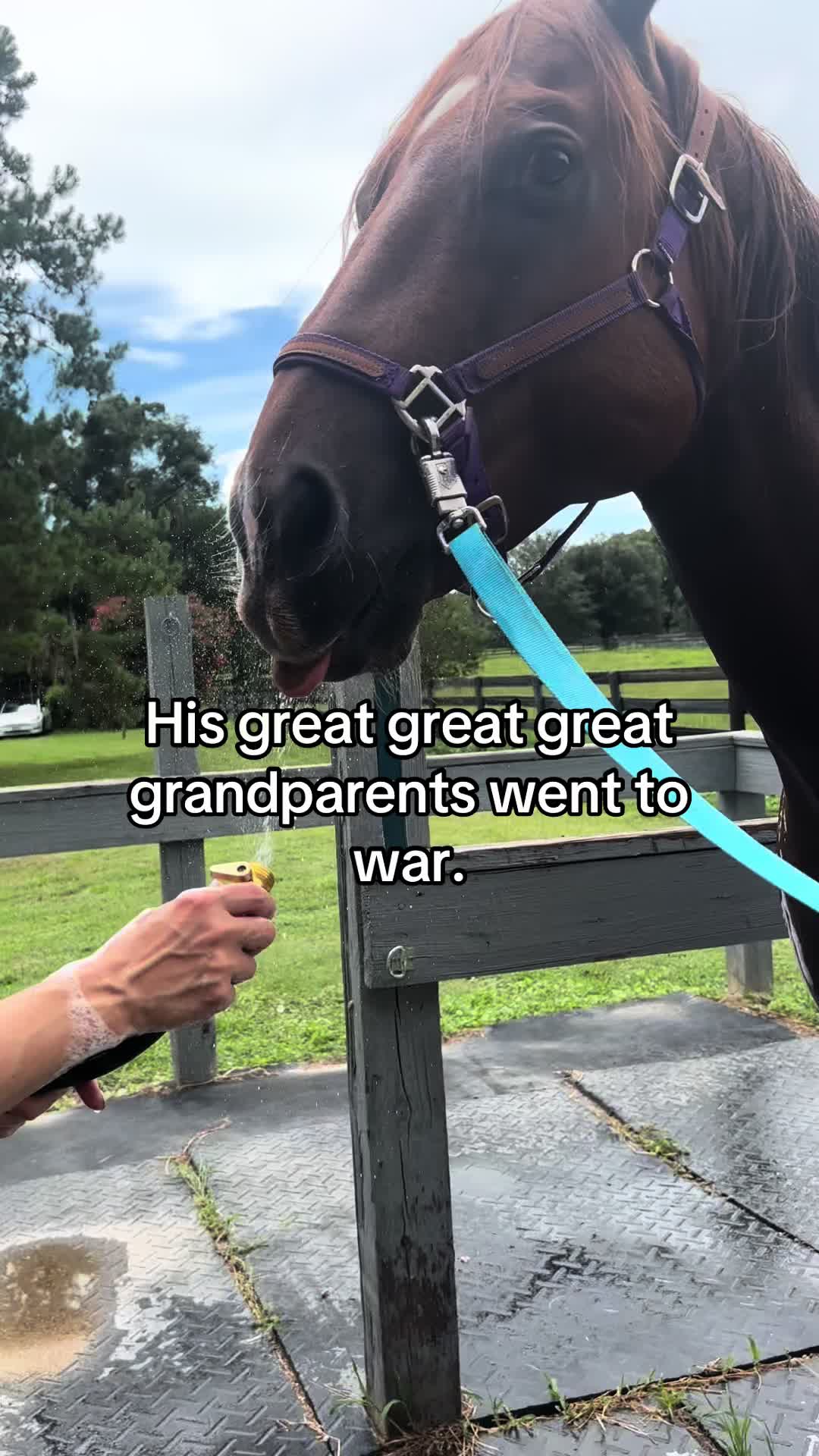 @itiswellstables