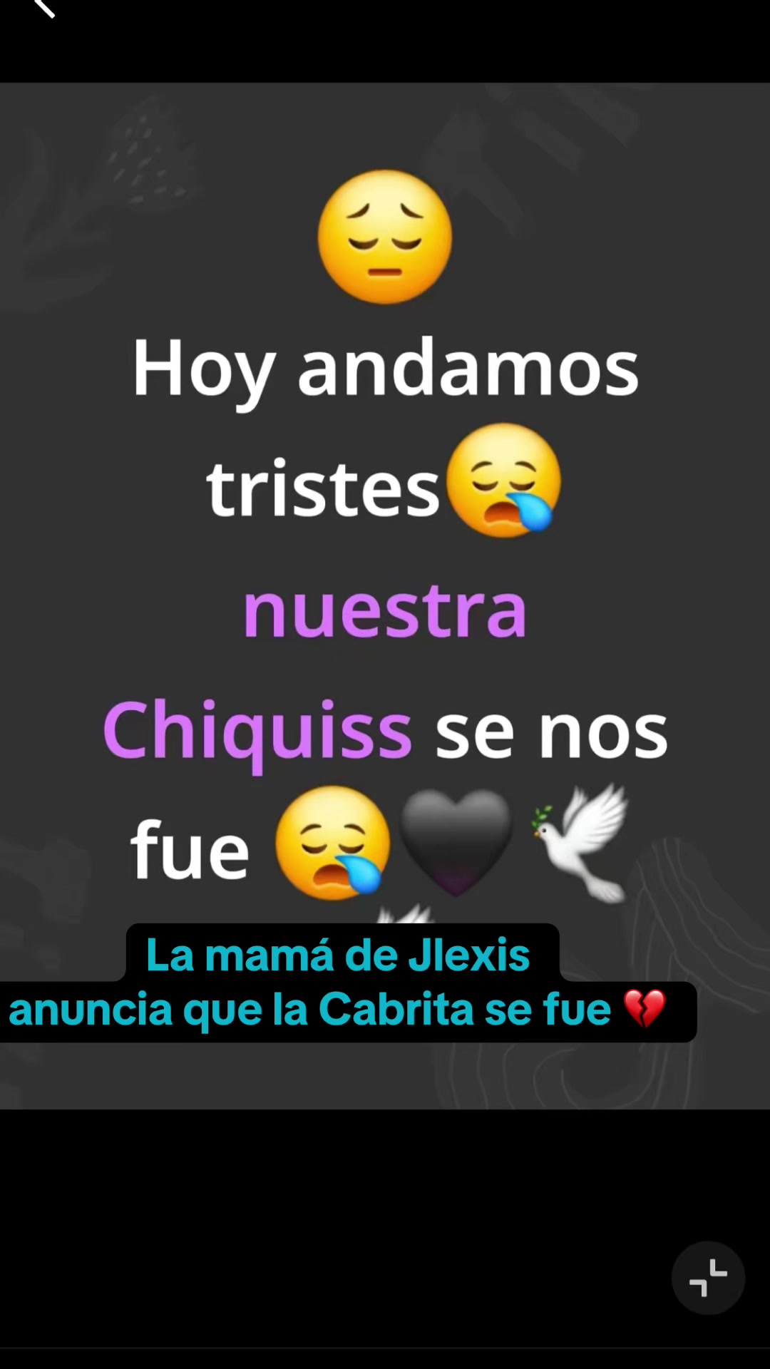 @Clipsdeclips