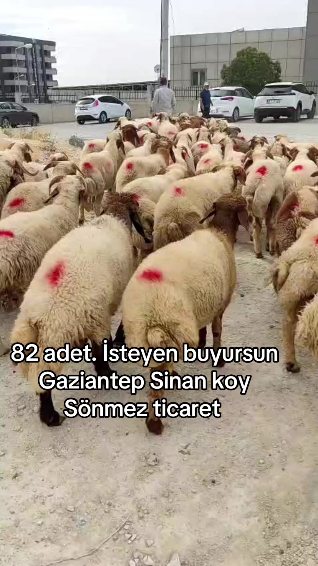 @Ahmet Sönmez