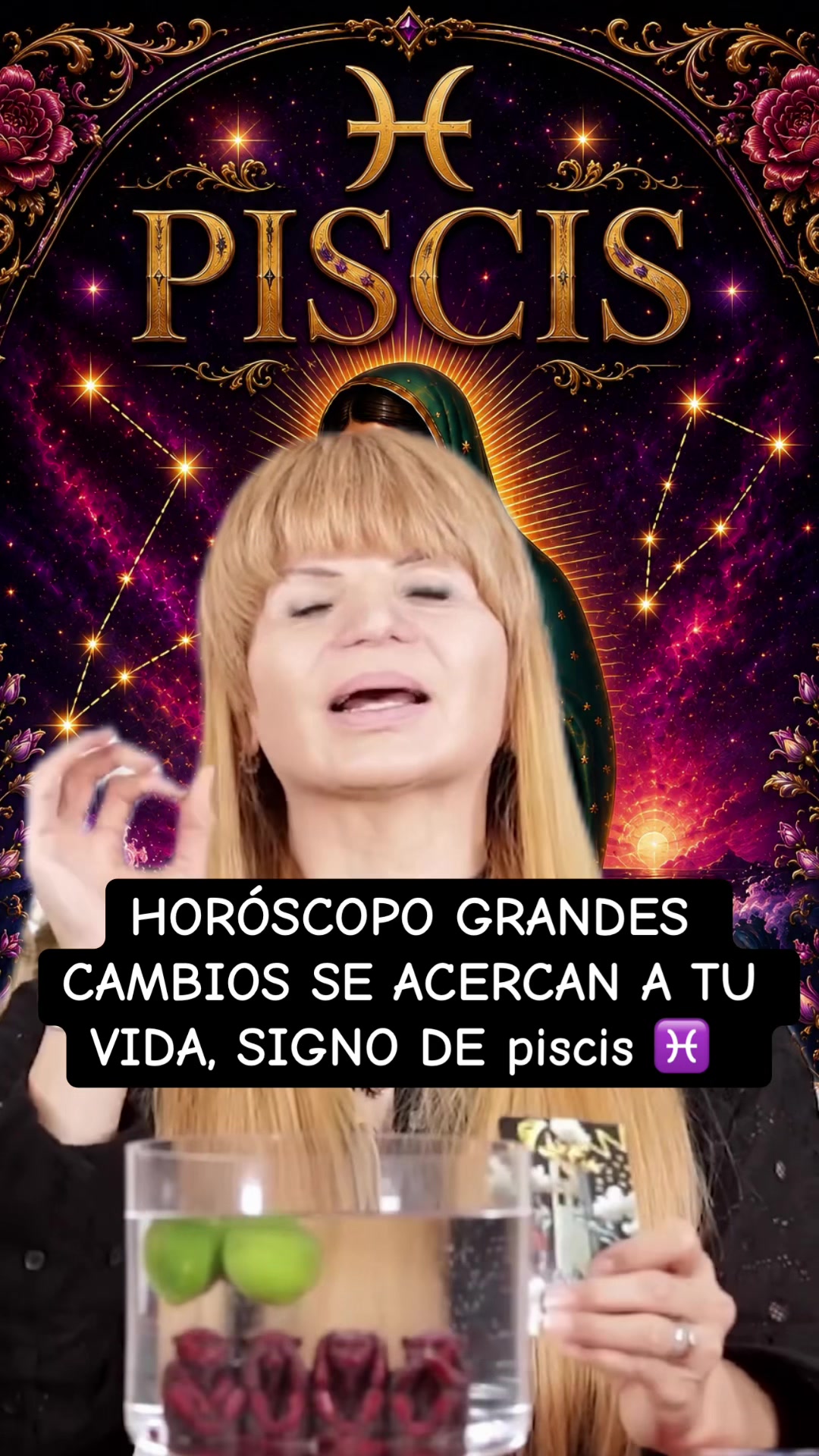 @✨ORÁCULO 13 ✨