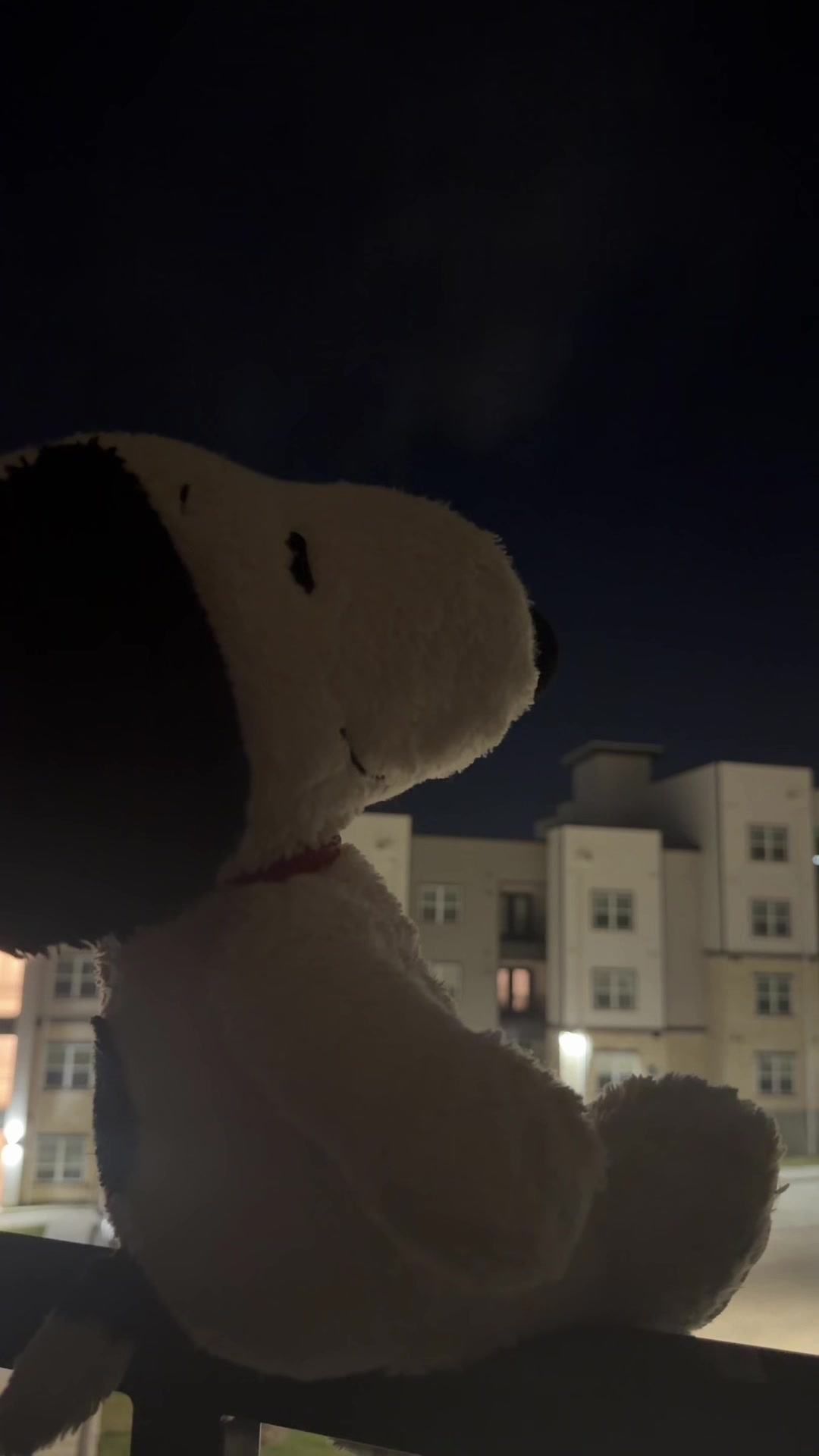 @snoopy