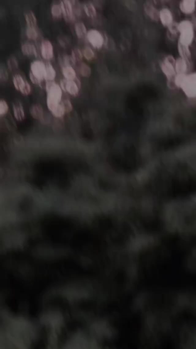 @mian__ali__1🫶