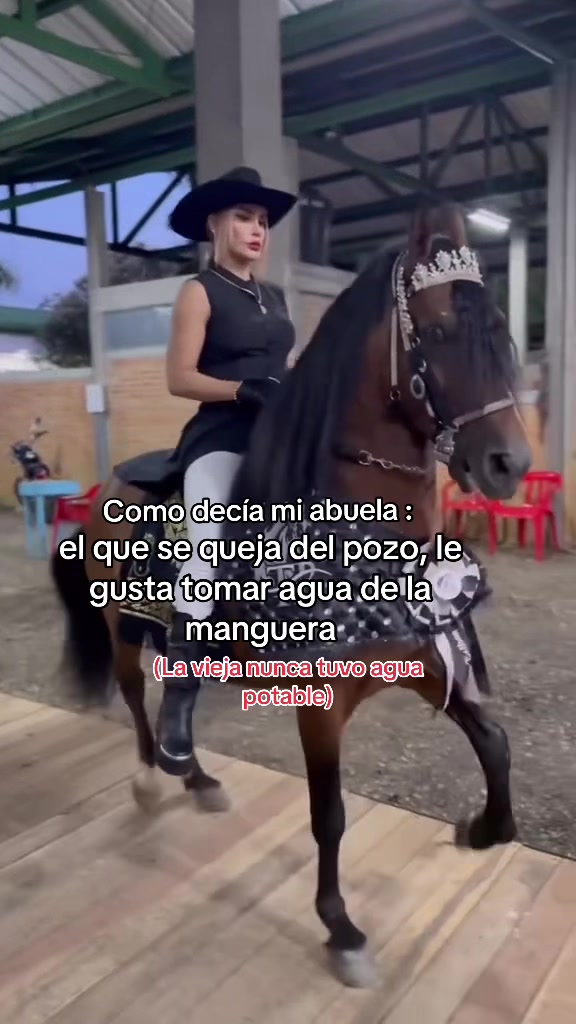 @🐴TATA🐴 🐴PROFESOR DEJM🐴